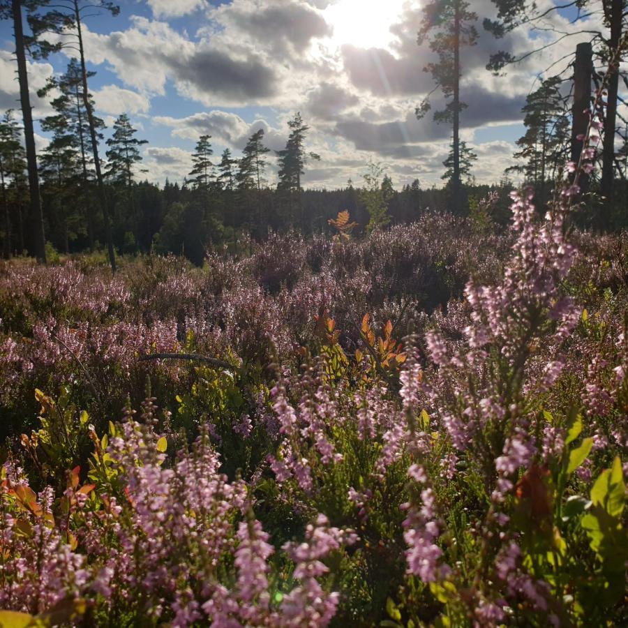 Cabin Near Lake And Beautiful Nature Reserve. Bodafors エクステリア 写真