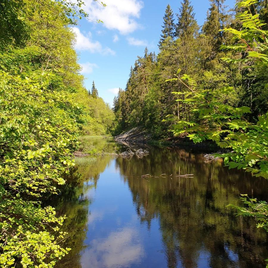 Cabin Near Lake And Beautiful Nature Reserve. Bodafors エクステリア 写真