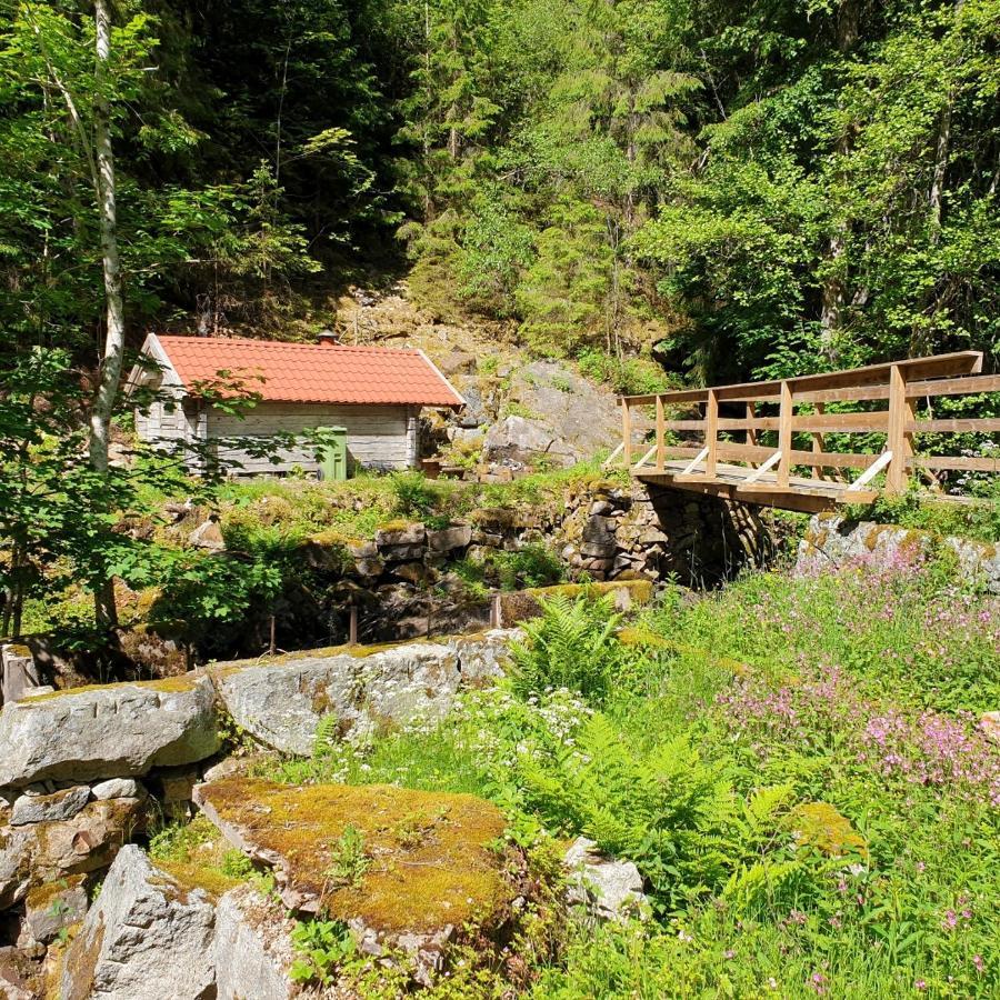 Cabin Near Lake And Beautiful Nature Reserve. Bodafors エクステリア 写真
