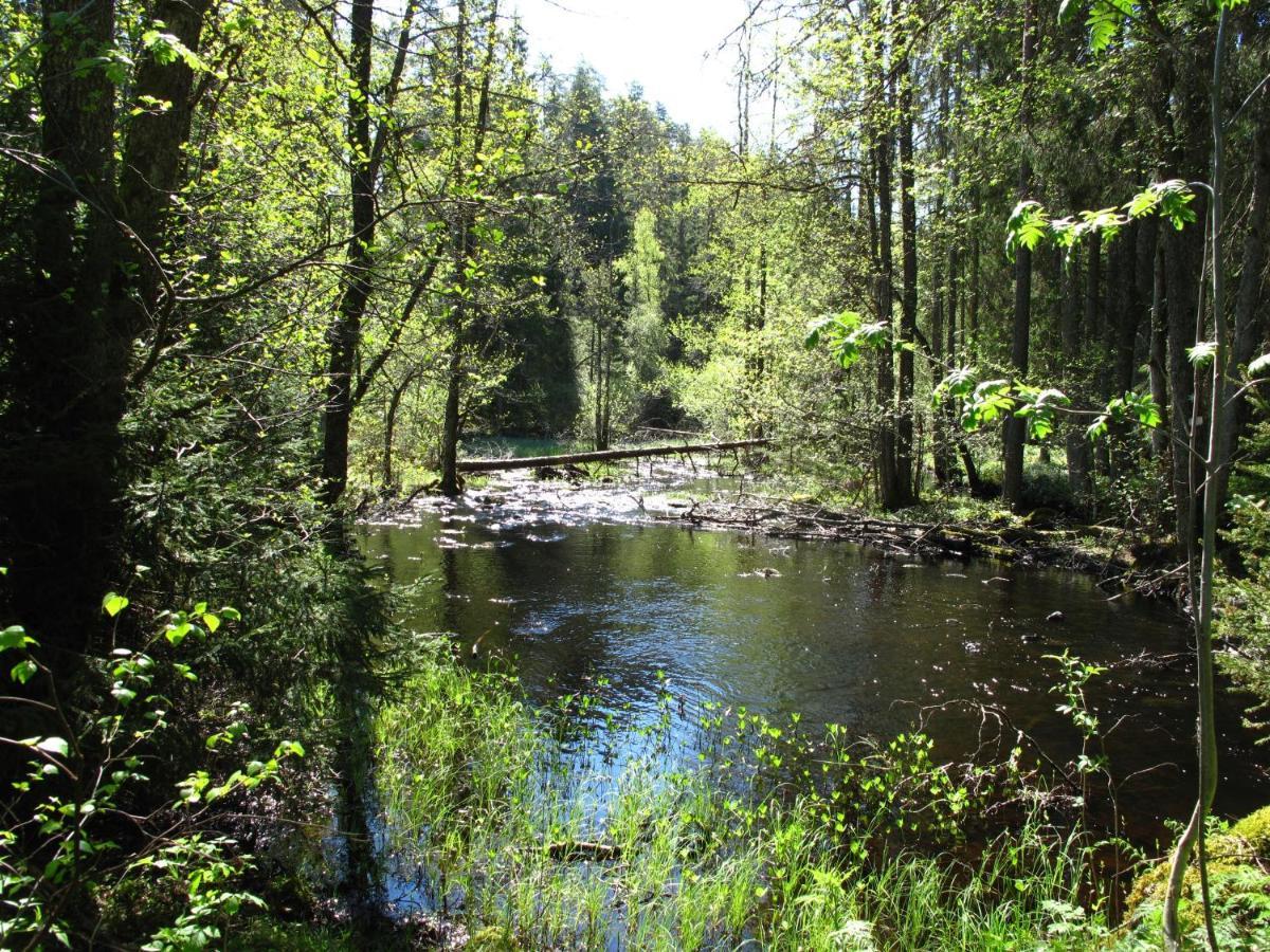 Cabin Near Lake And Beautiful Nature Reserve. Bodafors エクステリア 写真