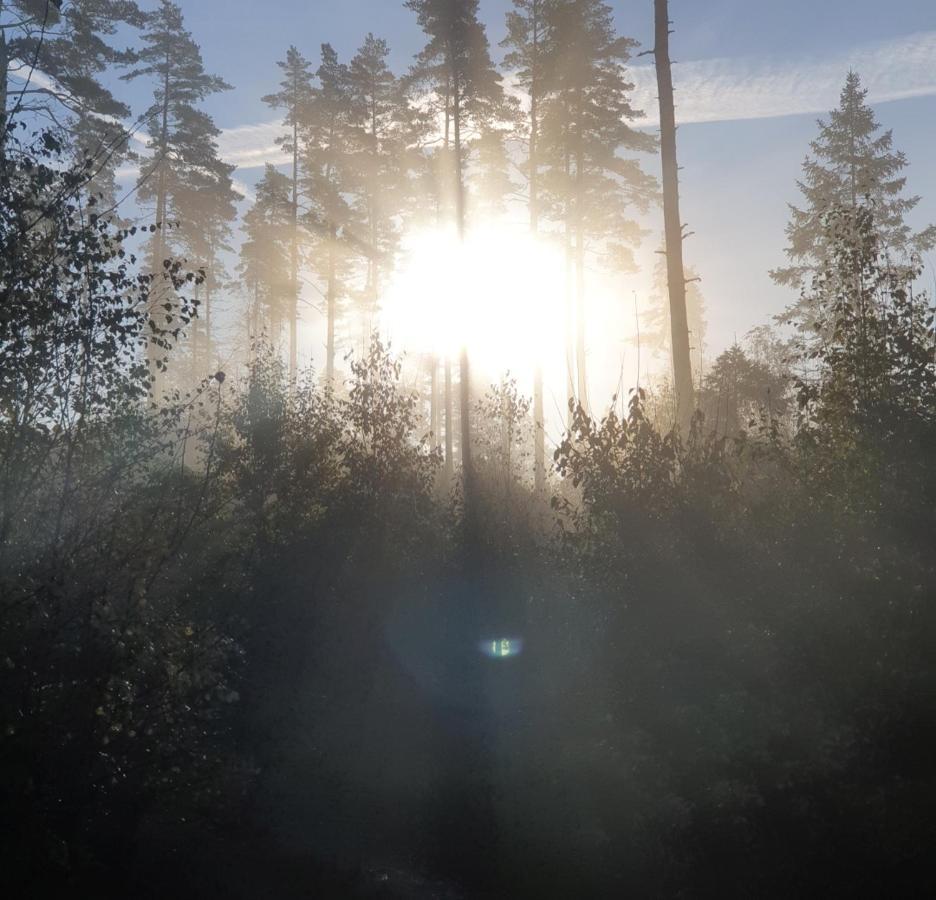 Cabin Near Lake And Beautiful Nature Reserve. Bodafors エクステリア 写真