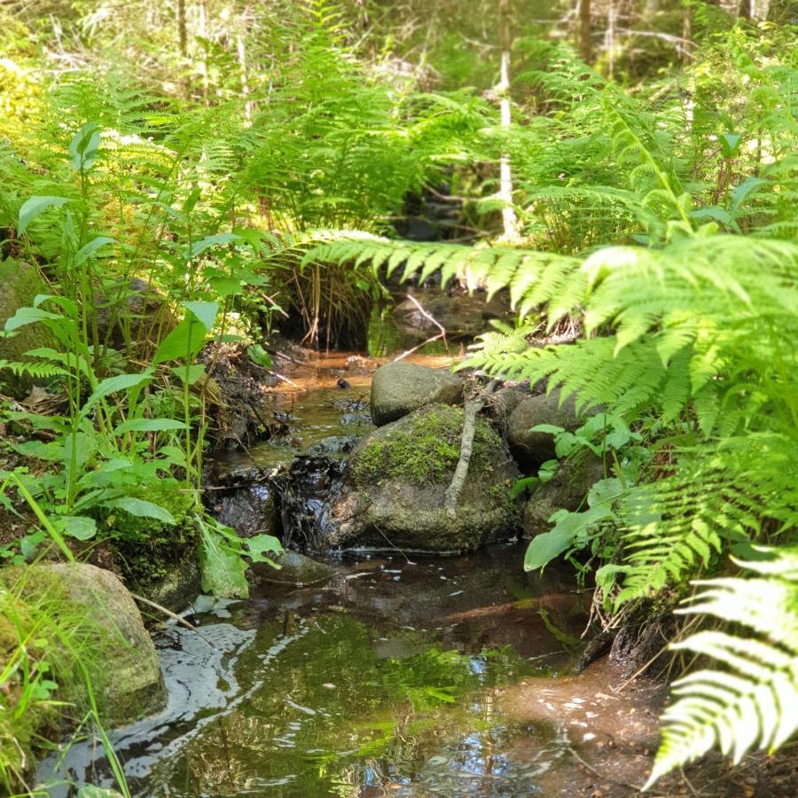 Cabin Near Lake And Beautiful Nature Reserve. Bodafors エクステリア 写真