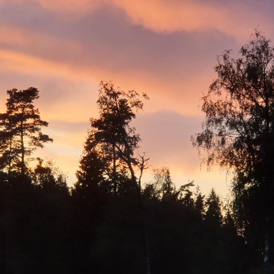 Cabin Near Lake And Beautiful Nature Reserve. Bodafors エクステリア 写真